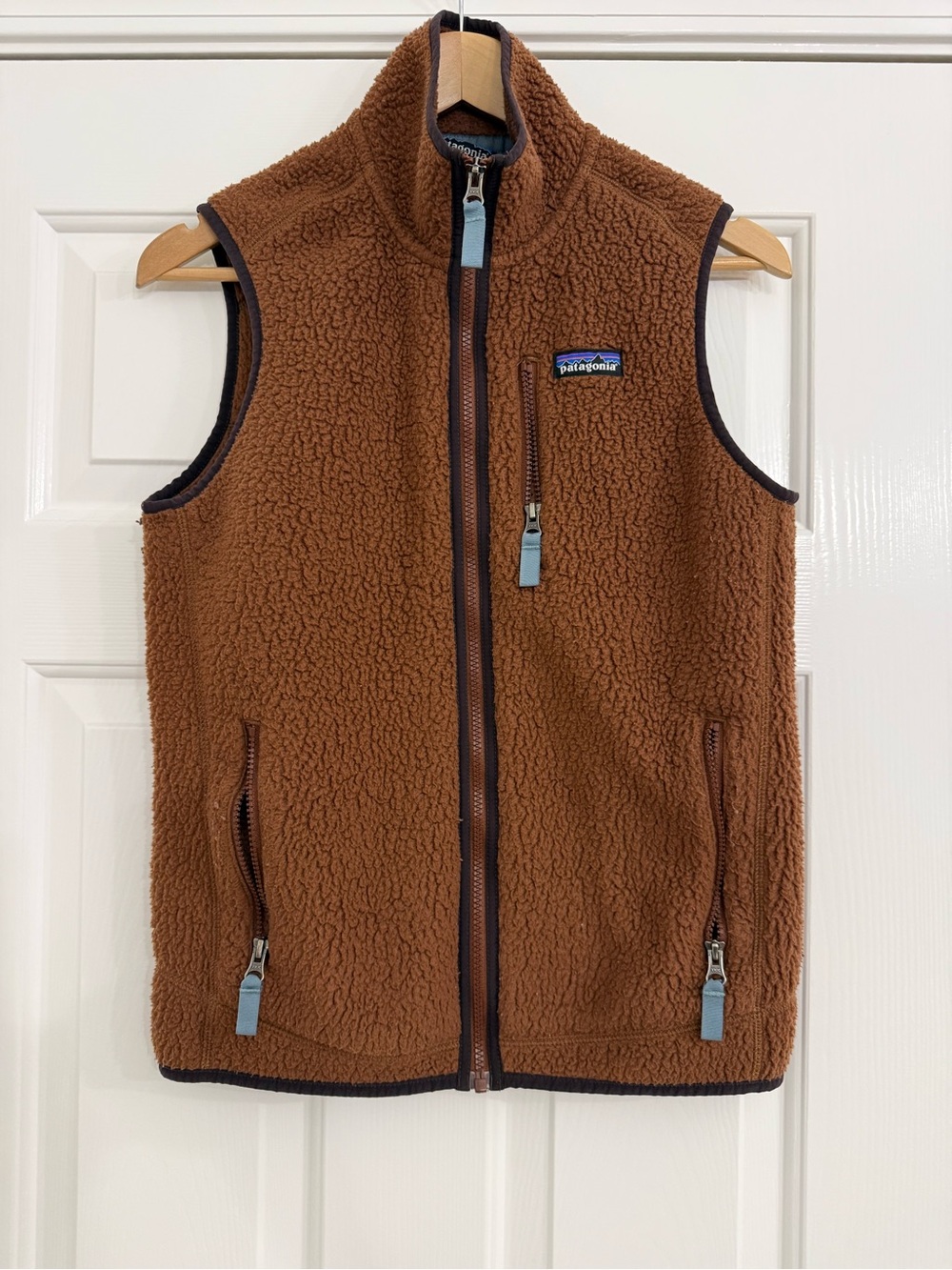 Patagonia Fleece Vest